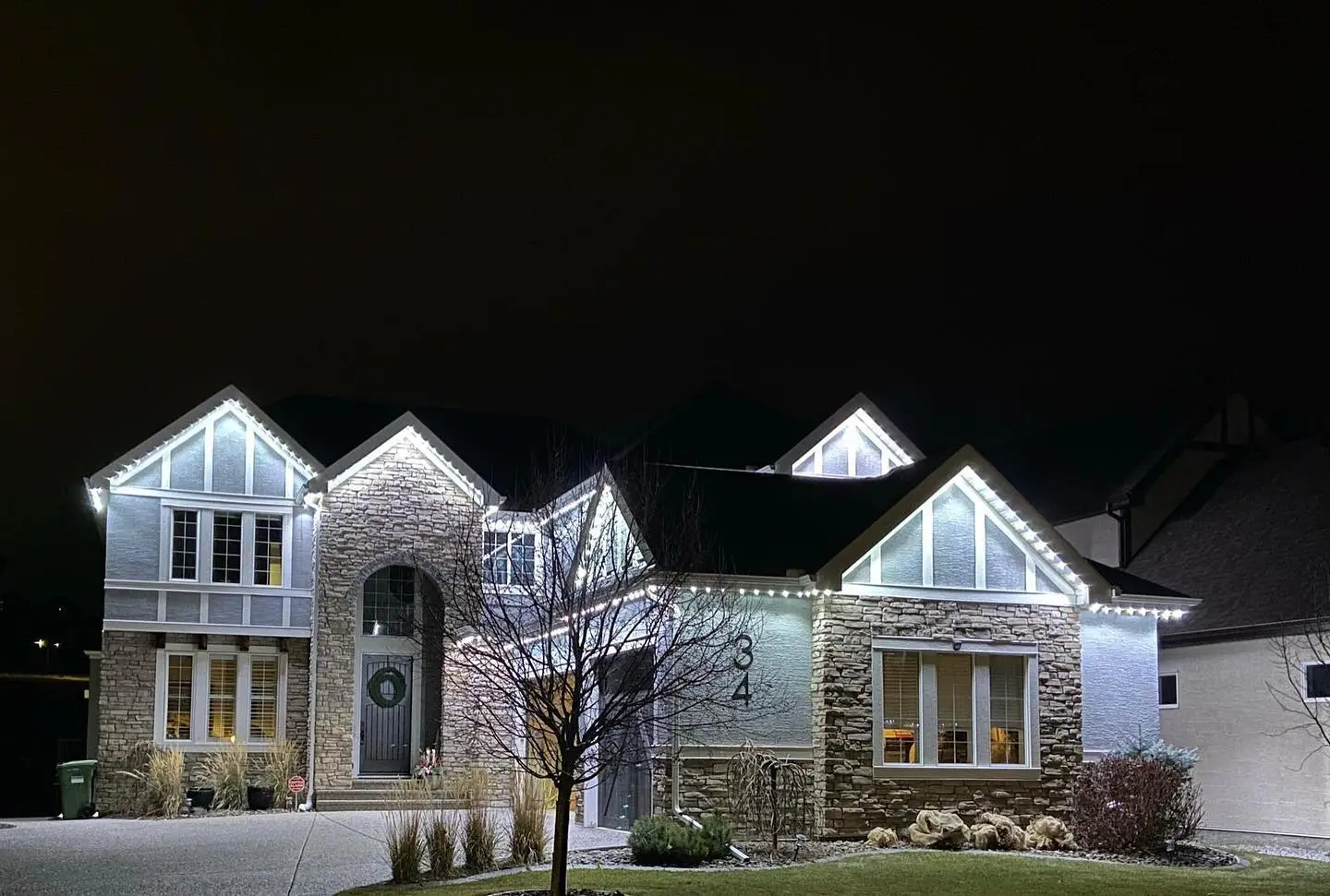Landscape lighting project — Garden Glow: Subtle uplighting for trees and garden beds.